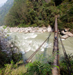 View This Article/Section